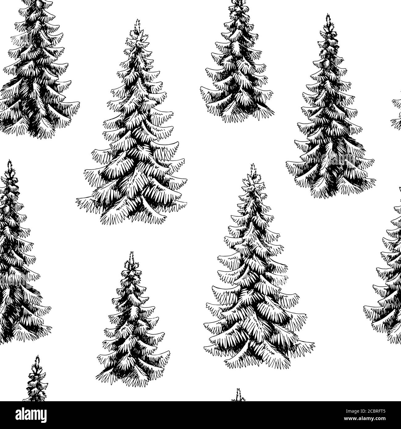 Fir tree spruce graphic black white seamless pattern background sketch illustration vector Stock Vector