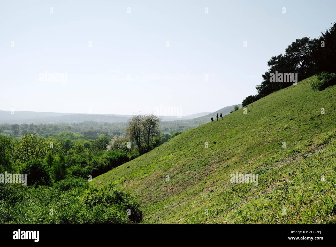 North Downs Way Ramblers - A summers day on top of Reigate Hill / Colley Hill on the North Downs above Reigate in Surrey England UK 2020. Stock Photo