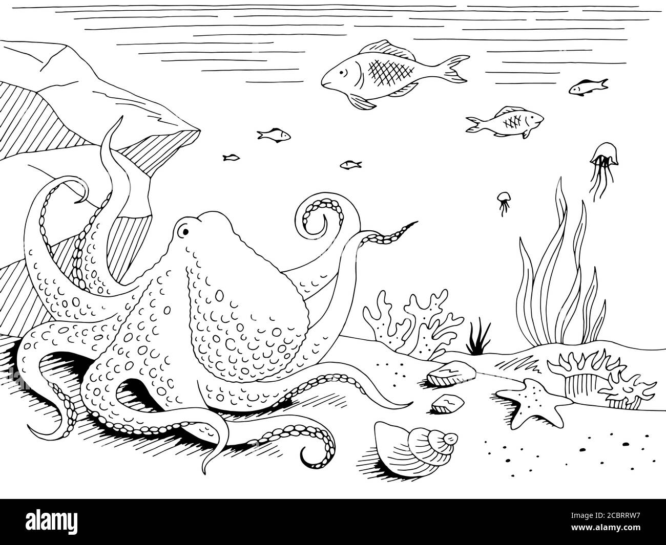 Underwater graphic sea black white sketch illustration vector Stock Vector