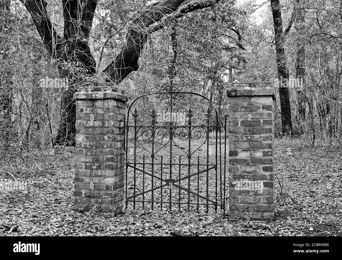 A mysterious Old Iron Gate in the Middle of the Woods Leading to No Where Stock Photo