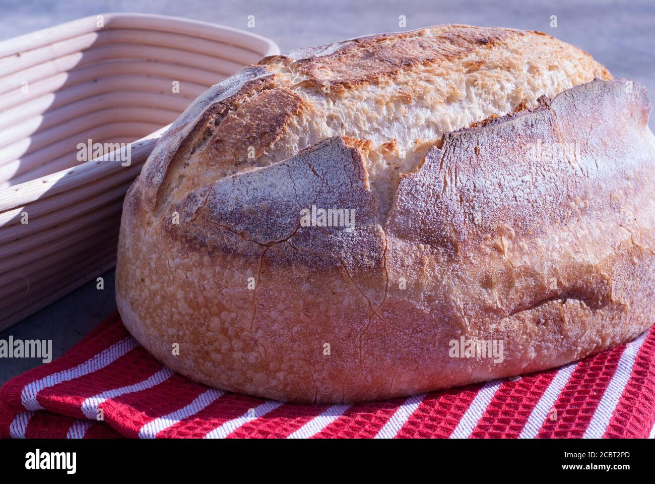 Artisan bread baking basket with a sourdough loaf of bread. Stock Photo