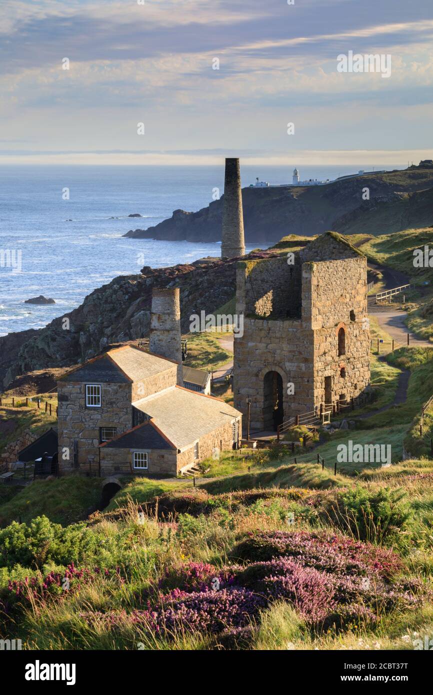 Levant Mine in Cornwall captured on a morning in early August when the heather was in bloom. Stock Photo