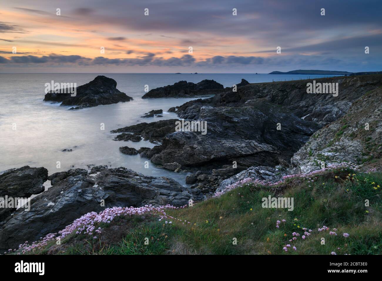 Spring flowers on the clifftop near Porth Mear Cove in Cornwall.  The image was captured shortly before sunset in mid-May. Stock Photo