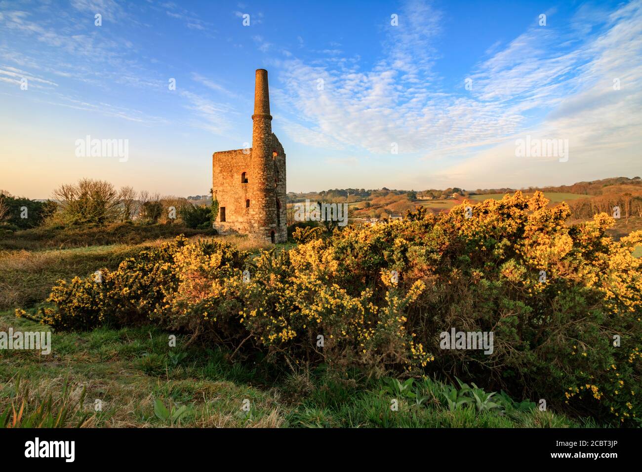 The lower of the two Wheal Unity Wood Engine Houses at Wheal Bush in Cornwall captured just after sunrise with gorse in the foreground. Stock Photo