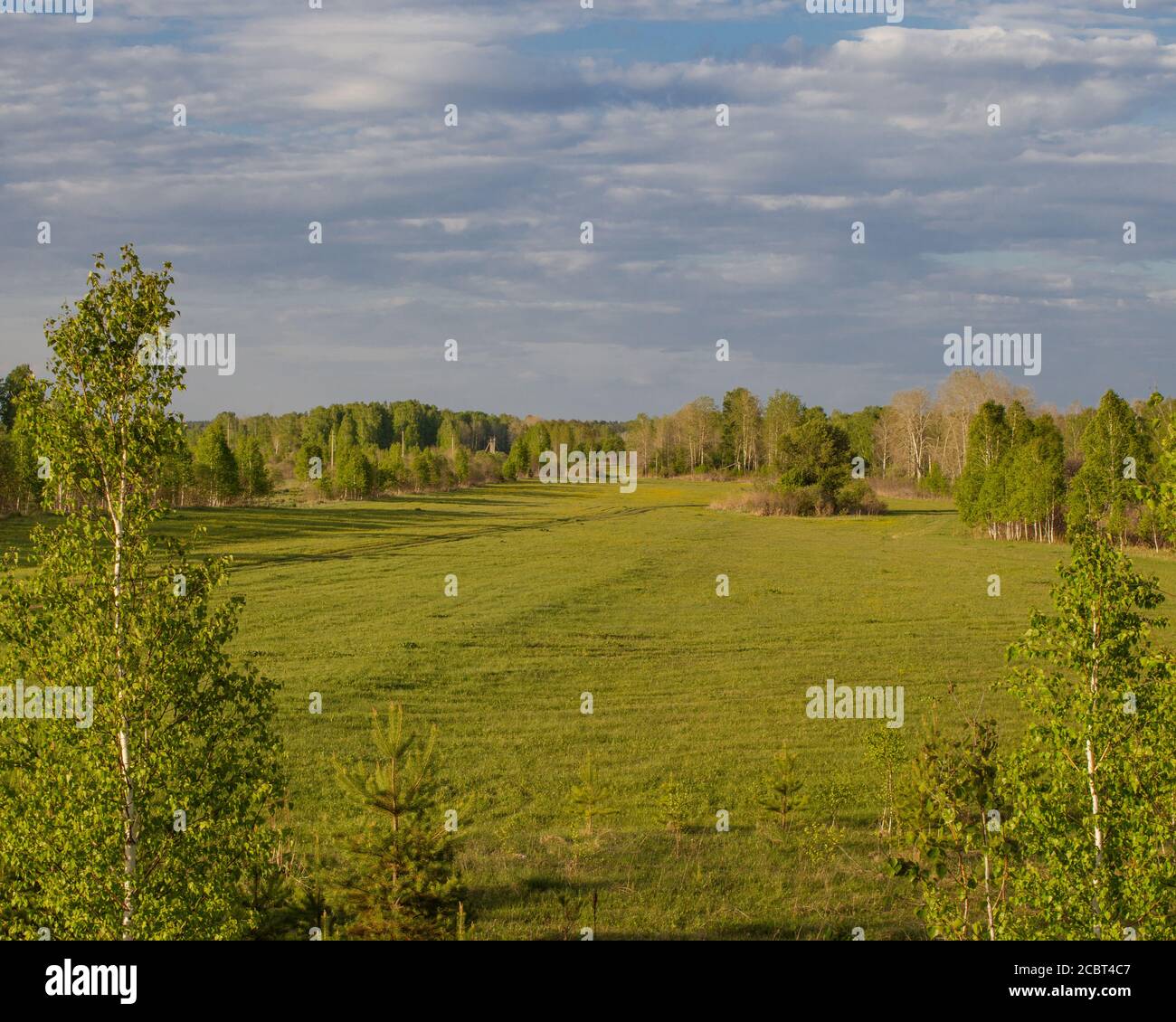 Beautiful summer rural landscape Stock Photo - Alamy