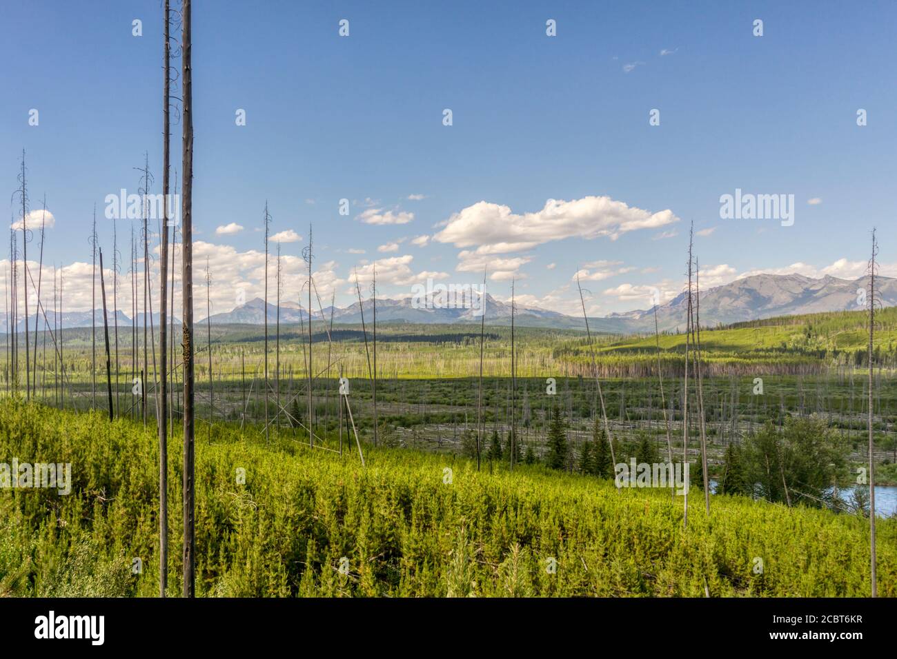 North Fork Flathead River and Glacier National Park, Montana USA Stock Photo Alamy