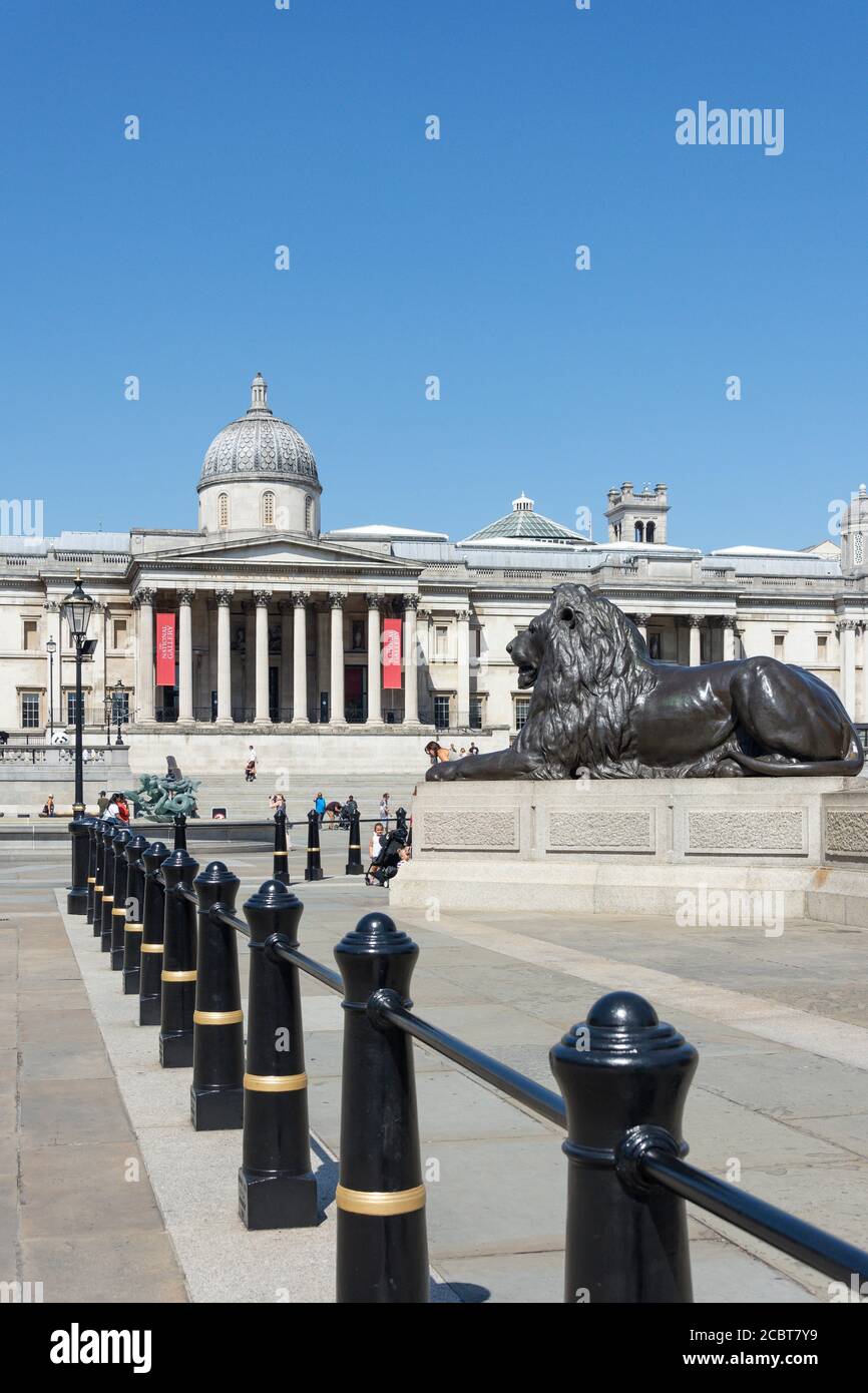 National Gallery and Lion Statue, Trafalgar Square, City of Westminster, Greater London, England, United Kingdom Stock Photo