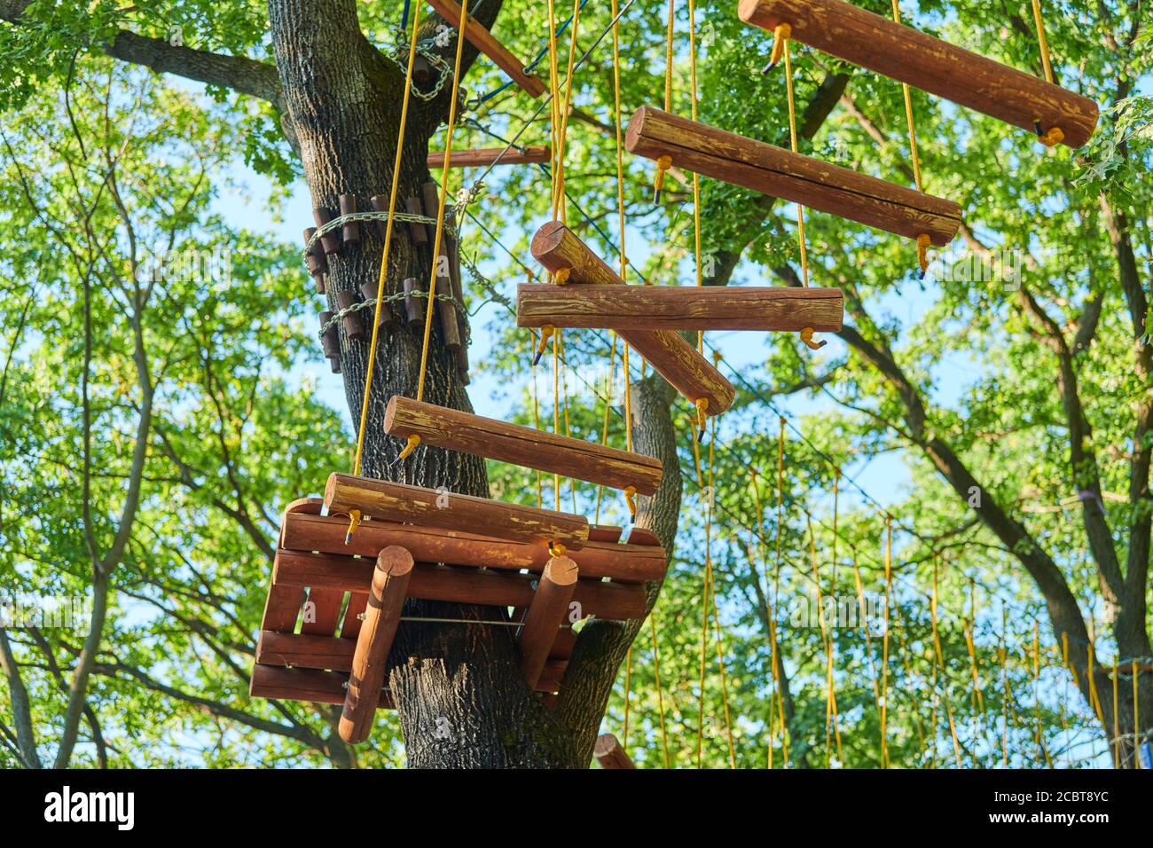 High ropes experience adventure tree park. Rope road course in