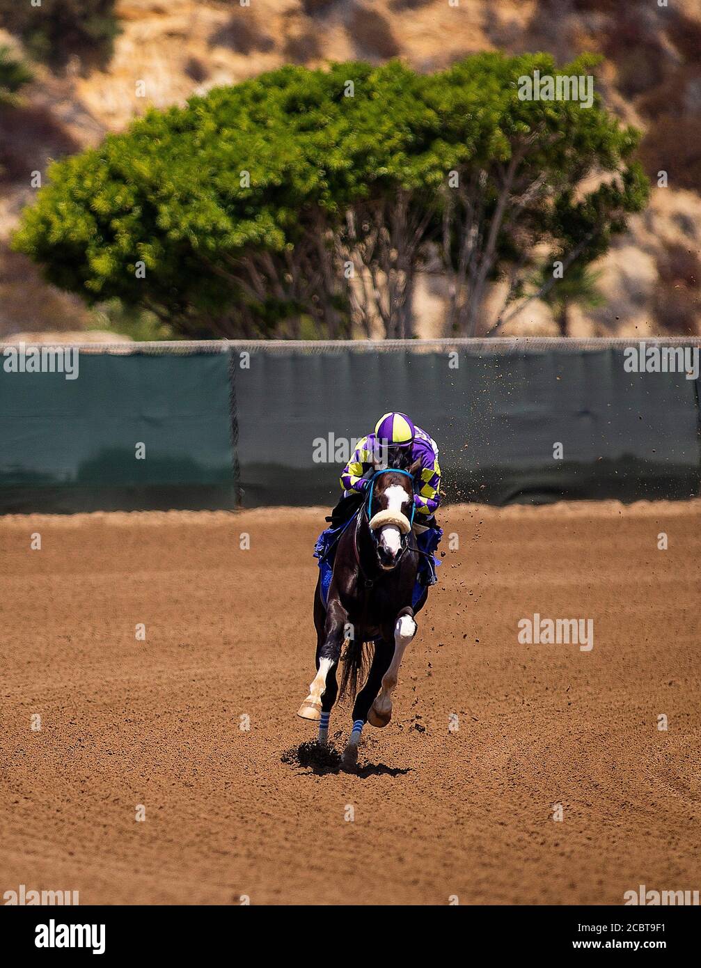 August 15, 2020, Del Mar, California, USA: AUG 15: Kentucky Derby hopeful, Honor AP works out at Del Mar Thoroughbred Club with regular jockey Mike Smith aboard, in Del Mar, California on August 15, 2020. Evers/Eclipse Sportswire/CSM Stock Photo