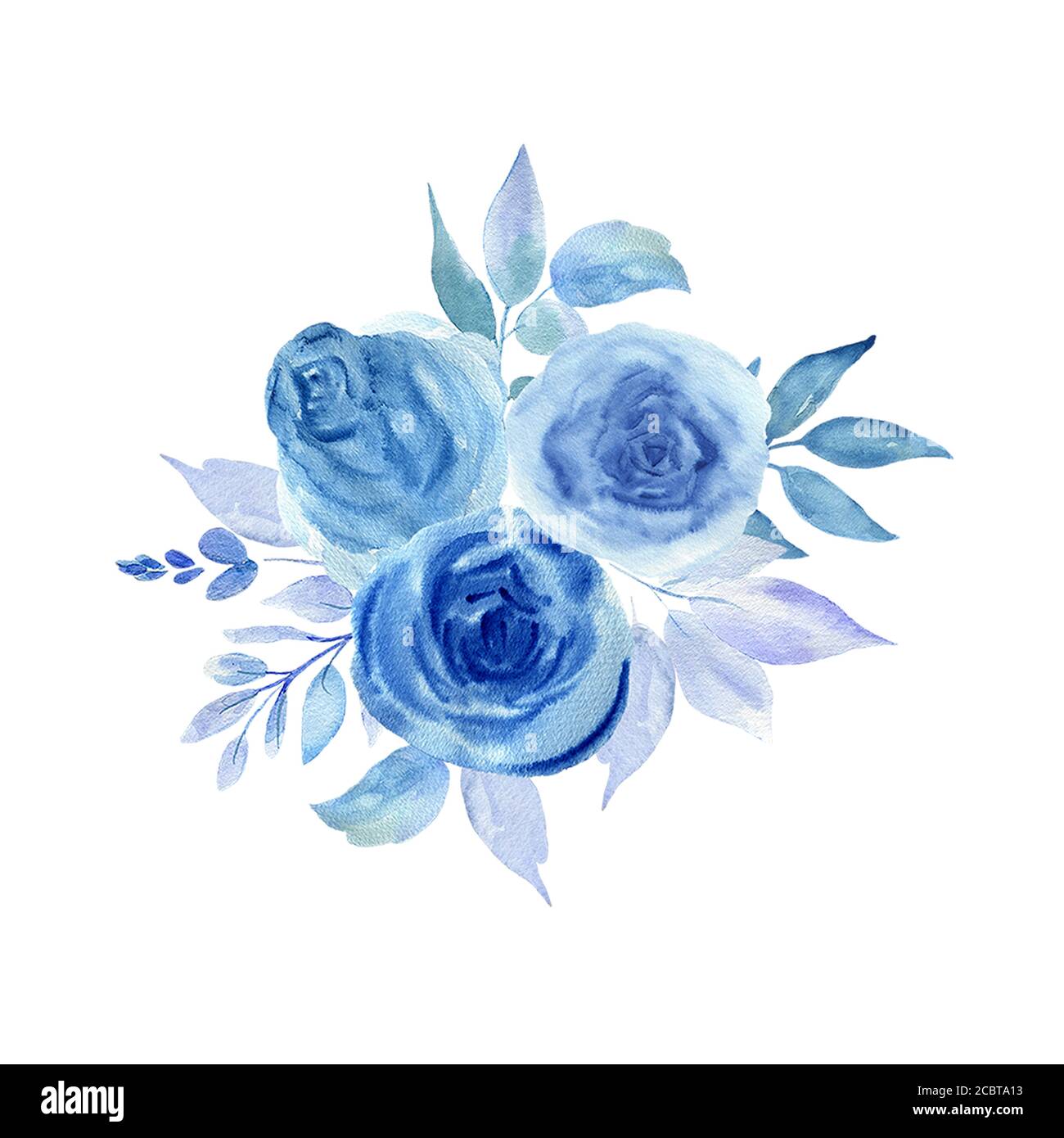 Watercolor illustration of blue flowers on a white background Stock ...