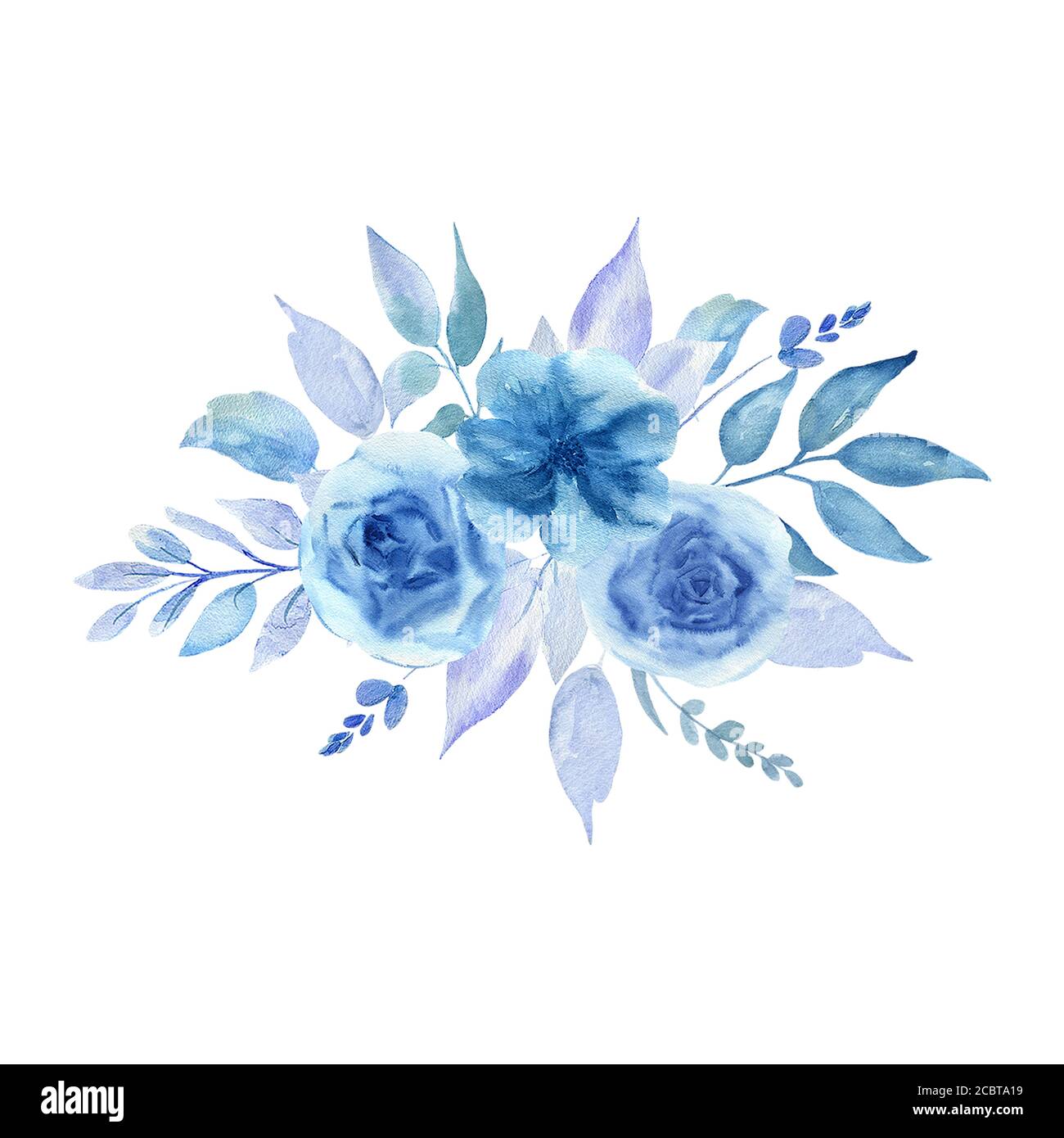 Watercolor illustration of blue flowers on a white background Stock ...