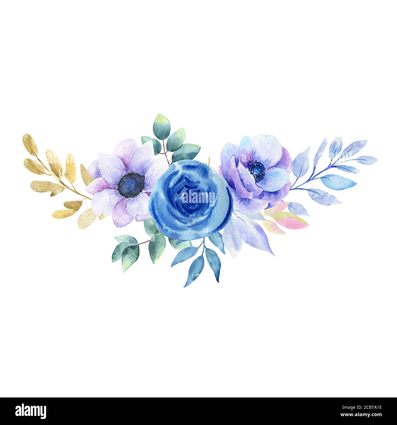 Watercolor illustration of blue flowers on a white background Stock ...