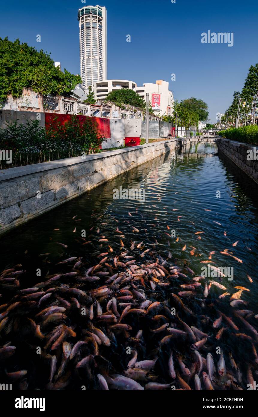 Man made fish pond at Sia Boey Urban Archaeological Park in Penang, Malaysia. Sia Boey is park based on the conservation of remnants and memories. Stock Photo