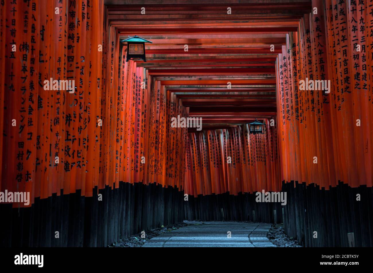 Torii gates in Fushimi Inari Shrine in Kyoto, Japan. The highlight of the shrine is the rows of