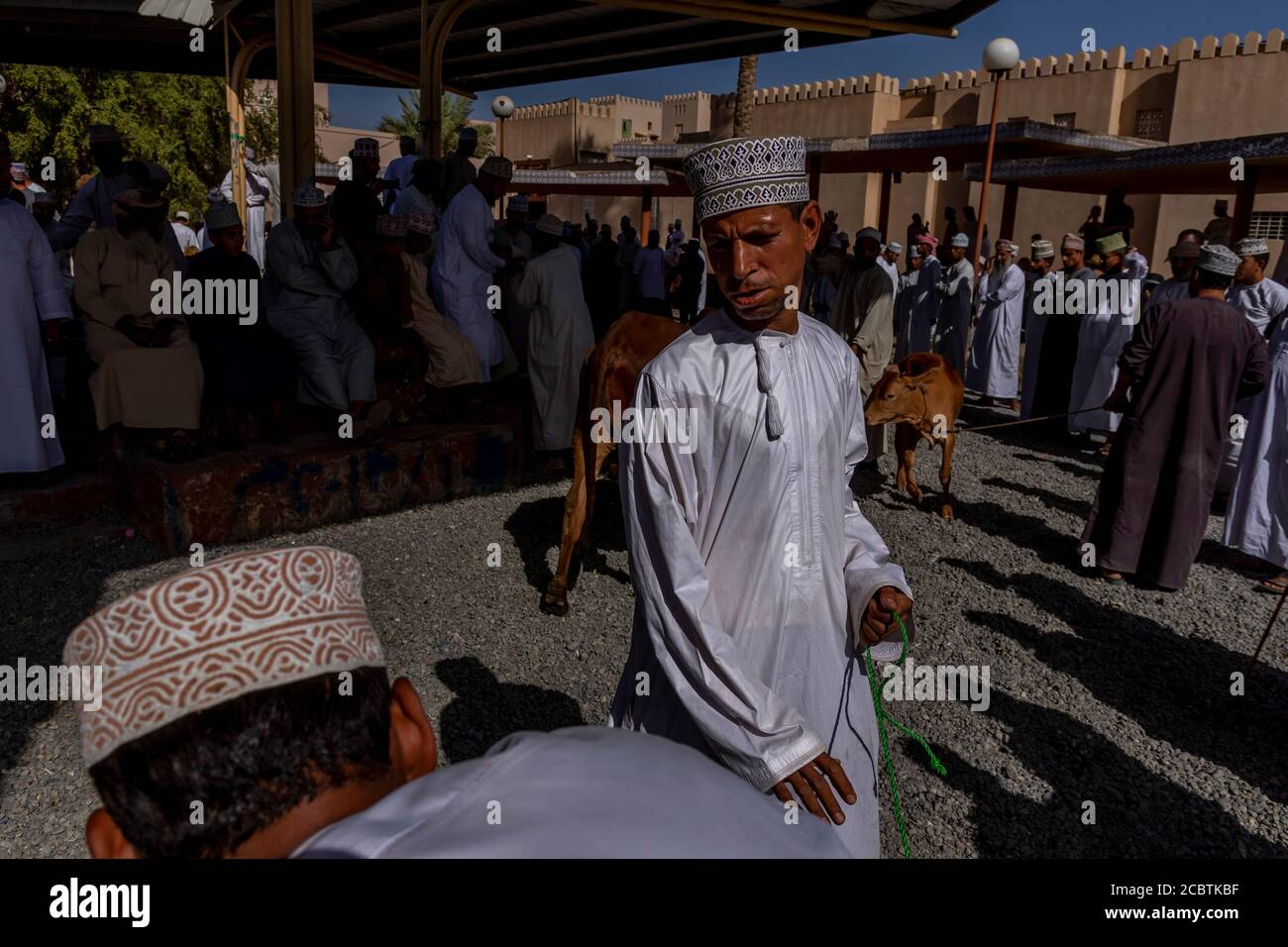 Omani men selling cattle at Nizwa market Stock Photo