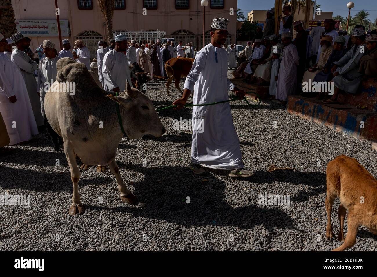 Omani men selling cattle at Nizwa market Stock Photo