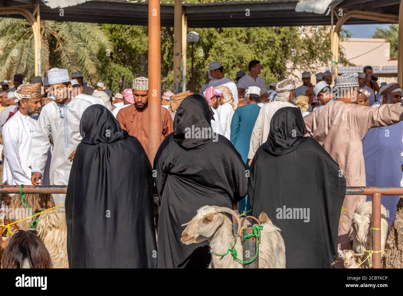 Arab ladies in Abaya observing the busy activity of the cattle market Stock Photo