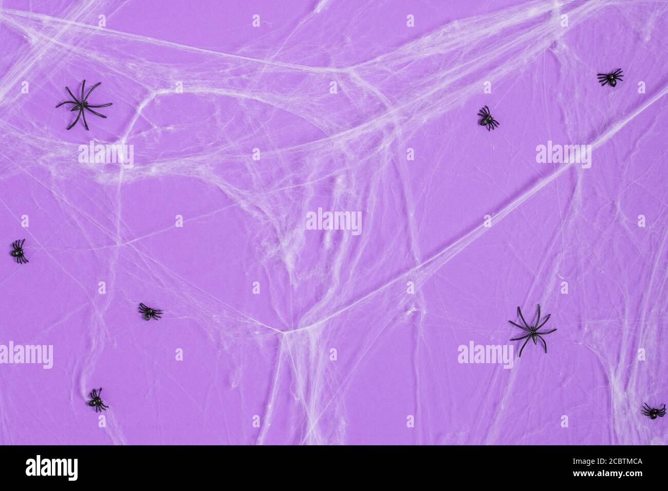 Halloween background with spider web and spiders on purple background ...