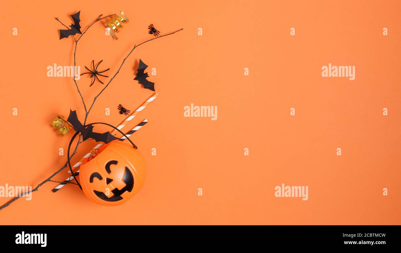 Halloween decorations, paper bats flying on tree branch and pumpkin bucket on orange background top view. Halloween background. Stock Photo