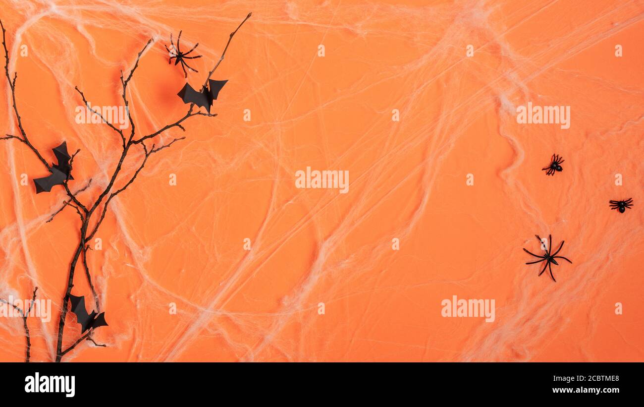 Halloween background with spider web and paper bats flying on tree branch on orange background top view. Halloween greeting card. Stock Photo