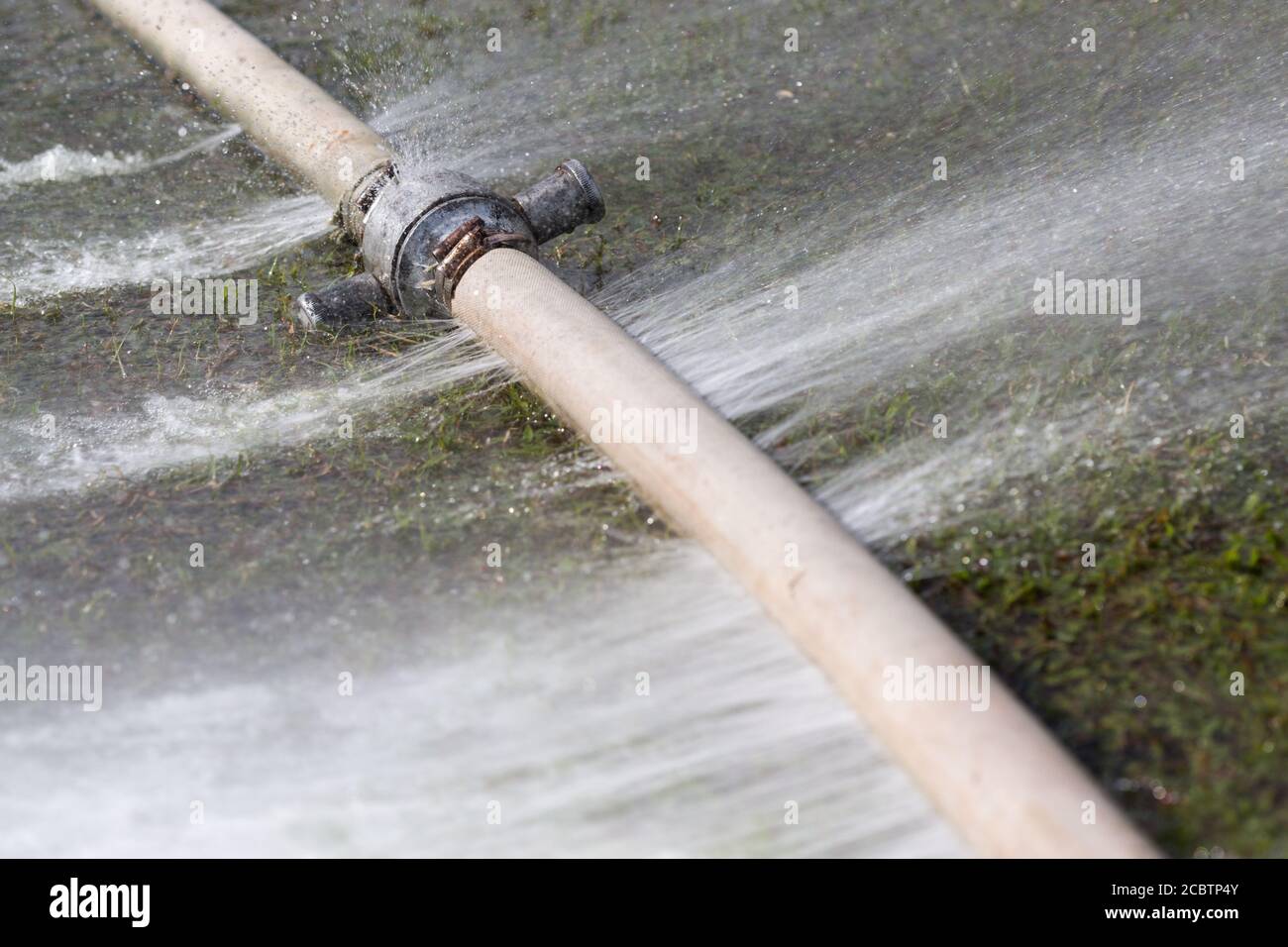 water leaking from hole in a hose Stock Photo Alamy