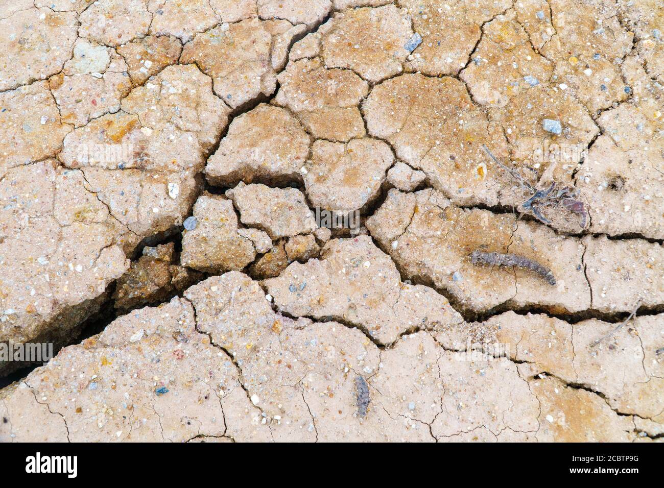 Cracked dirt mud arid ground background Stock Photo - Alamy
