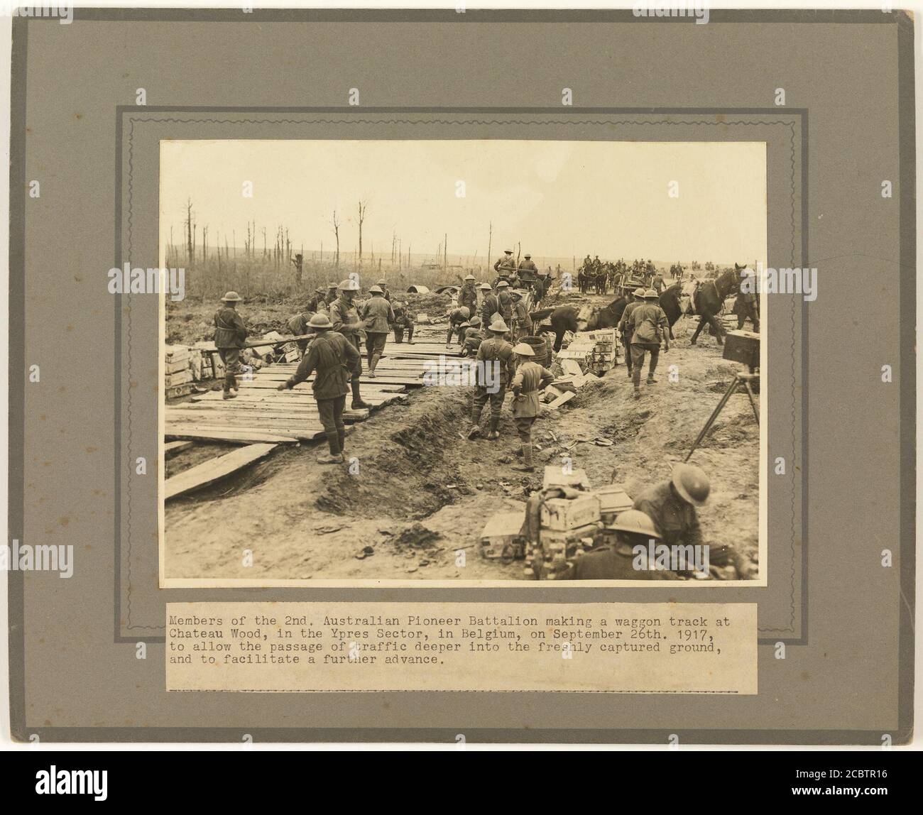 Members Of The 2nd Australian Pioneer Battalion Making A Wagon Track At Chateau Wood Ypres Stock Photo Alamy