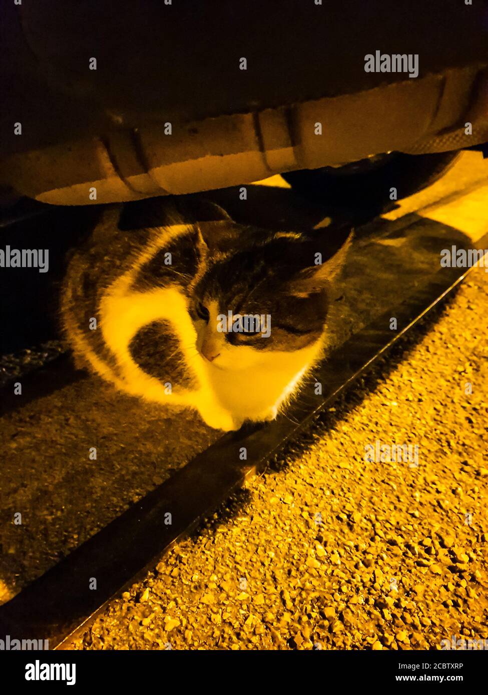 Hiding car hires stock photography and images Alamy