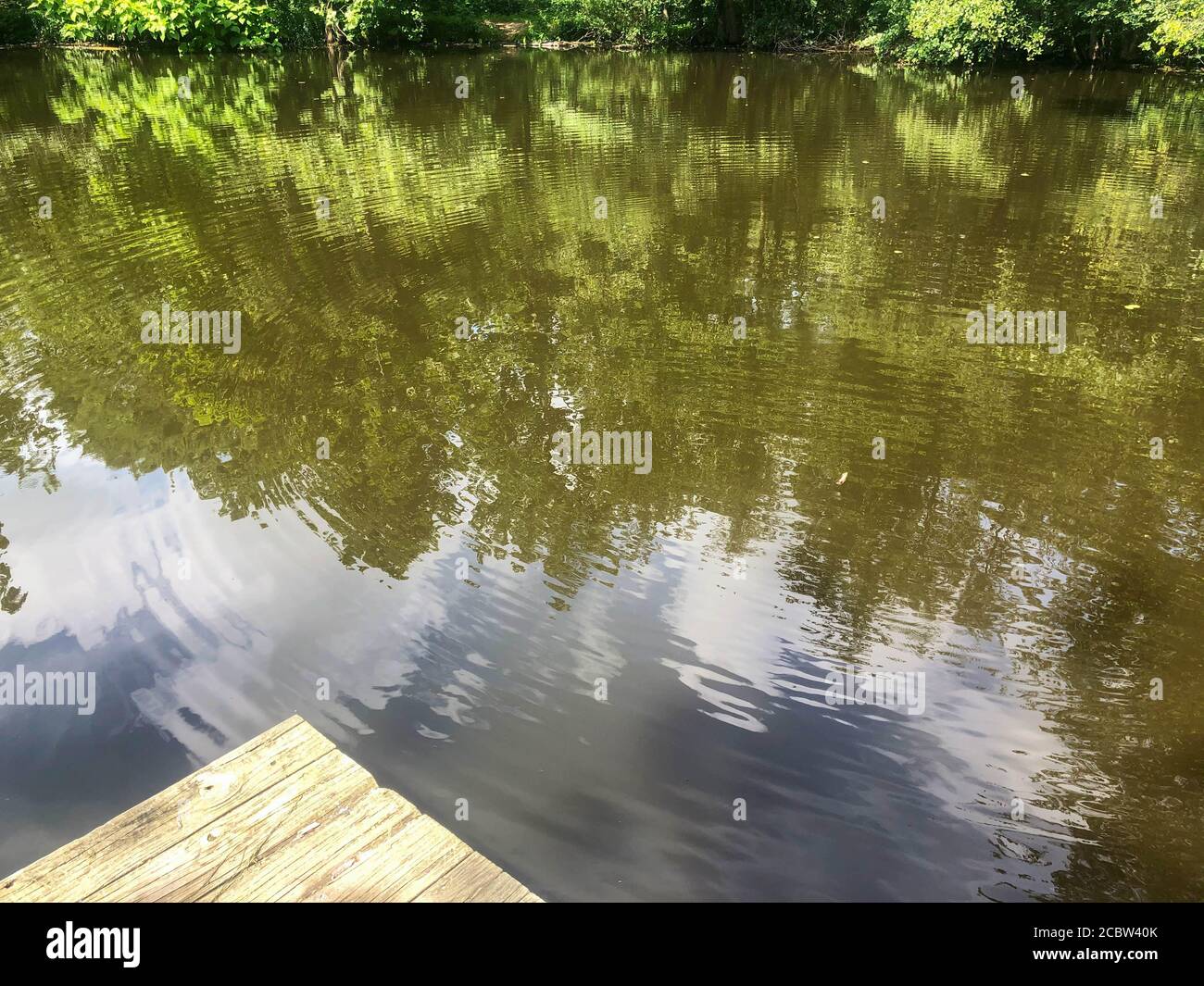 Trees, sky and clouds are reflected in this full frame image of a forest pond. Dock in foreground and woodland surrounding the background. Stock Photo