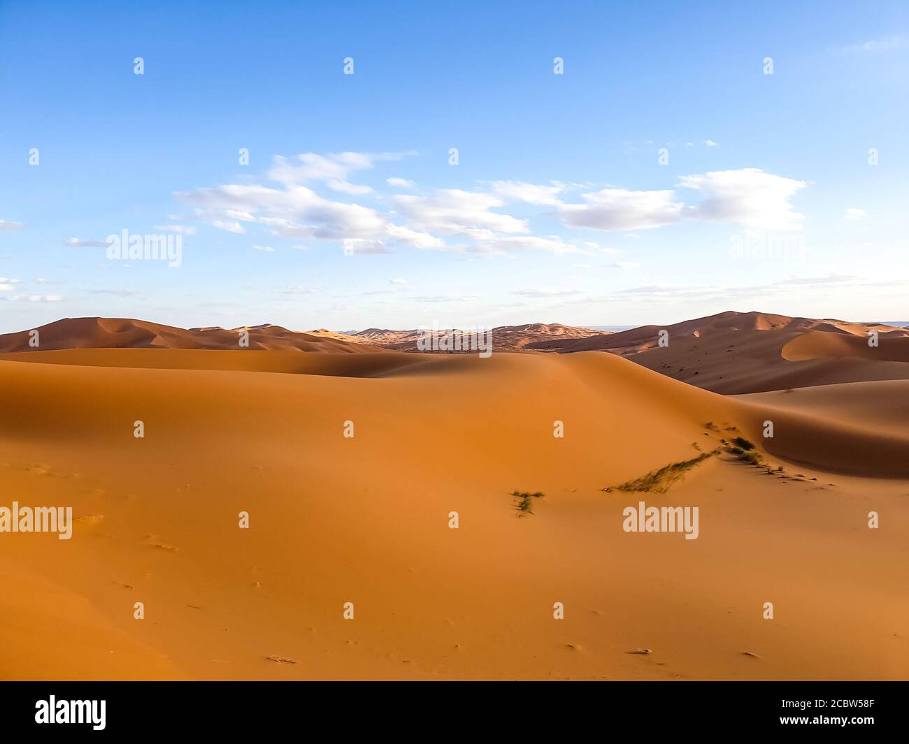 Sahara Stock Photo