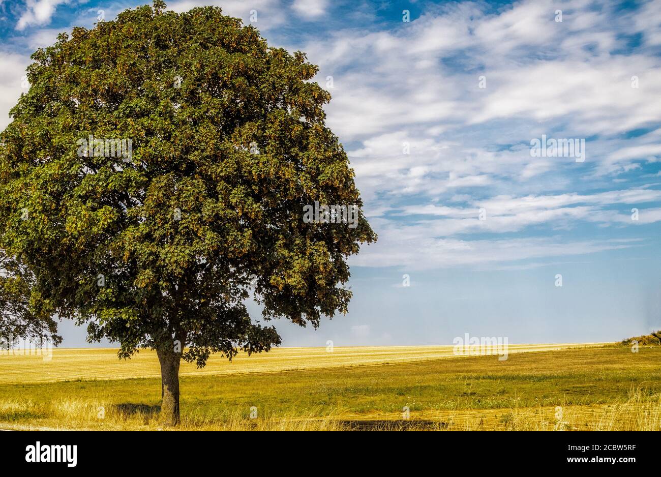Verdue High Resolution Stock Photography and Images - Alamy