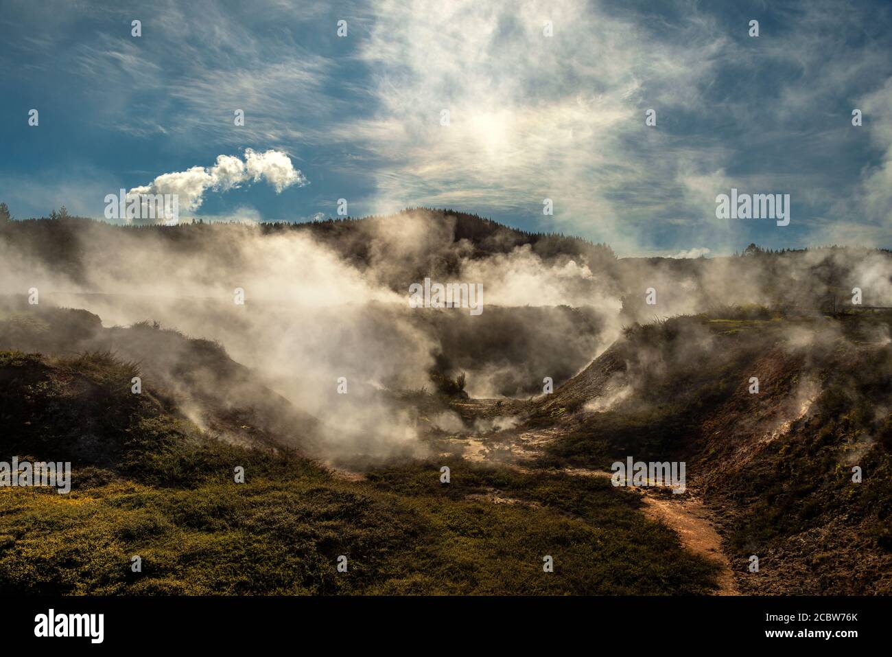 The geothermal fissures of the Craters of the Moon national park, near Lake Taupo in the north island of New Zealand. Stock Photo