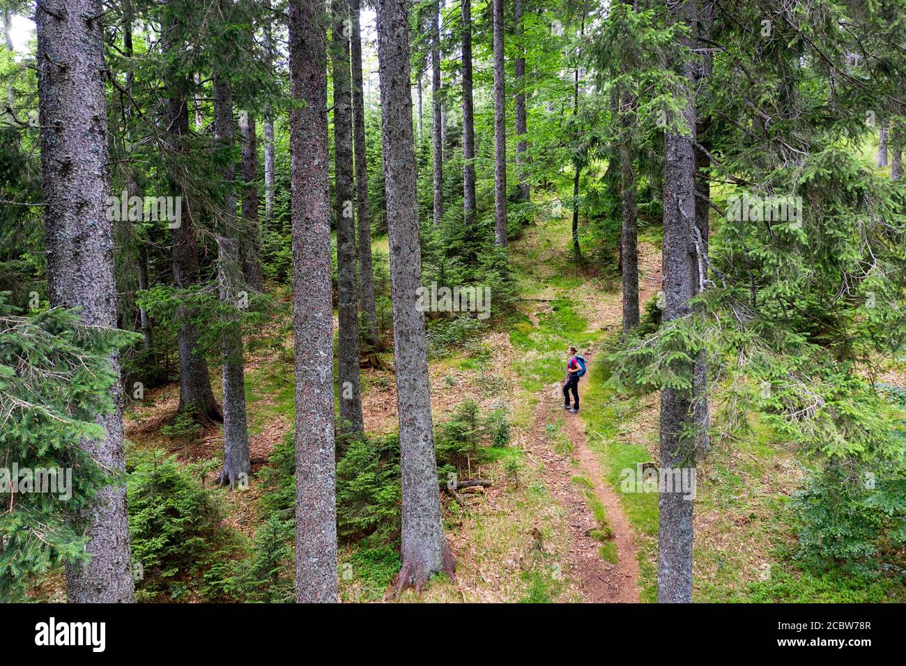 Aerial one woman hiking in hi-res stock photography and images - Alamy