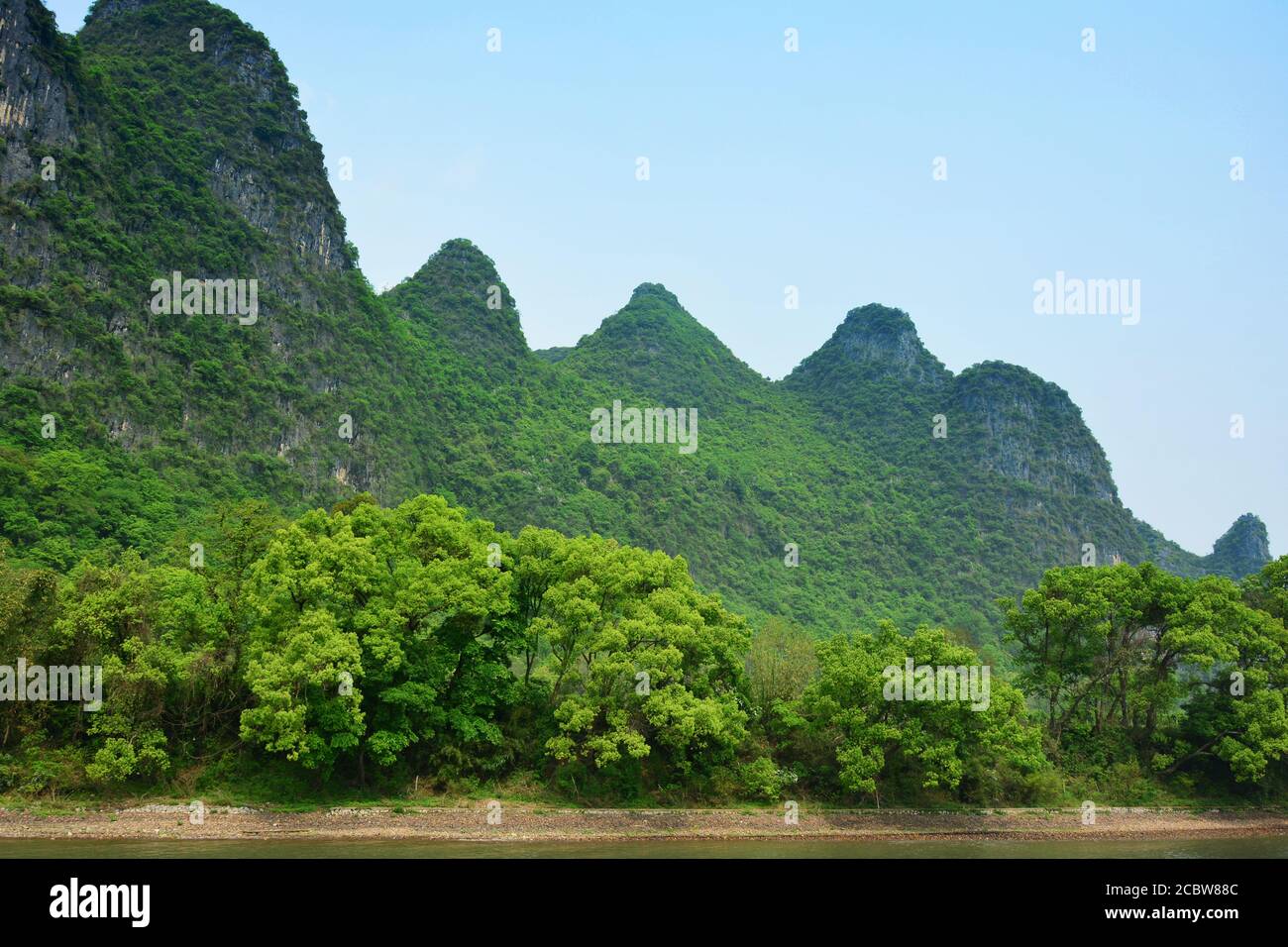mountain and trees located on the river shore Stock Photo