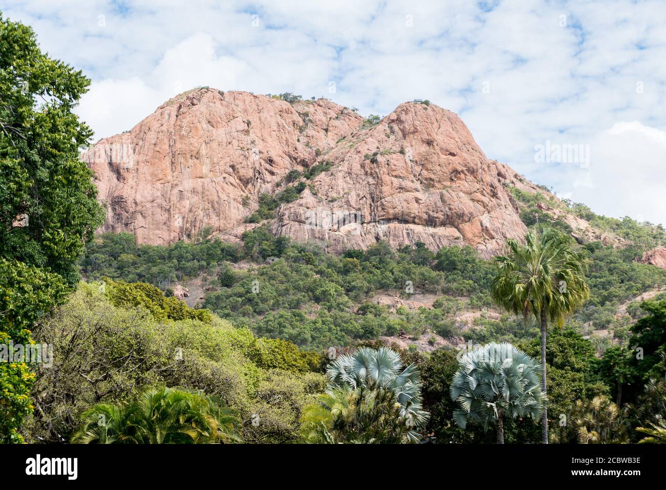 View of Castle Hill from Queens Gardens with palm trees in foreground Townsville, Australia Stock Photo