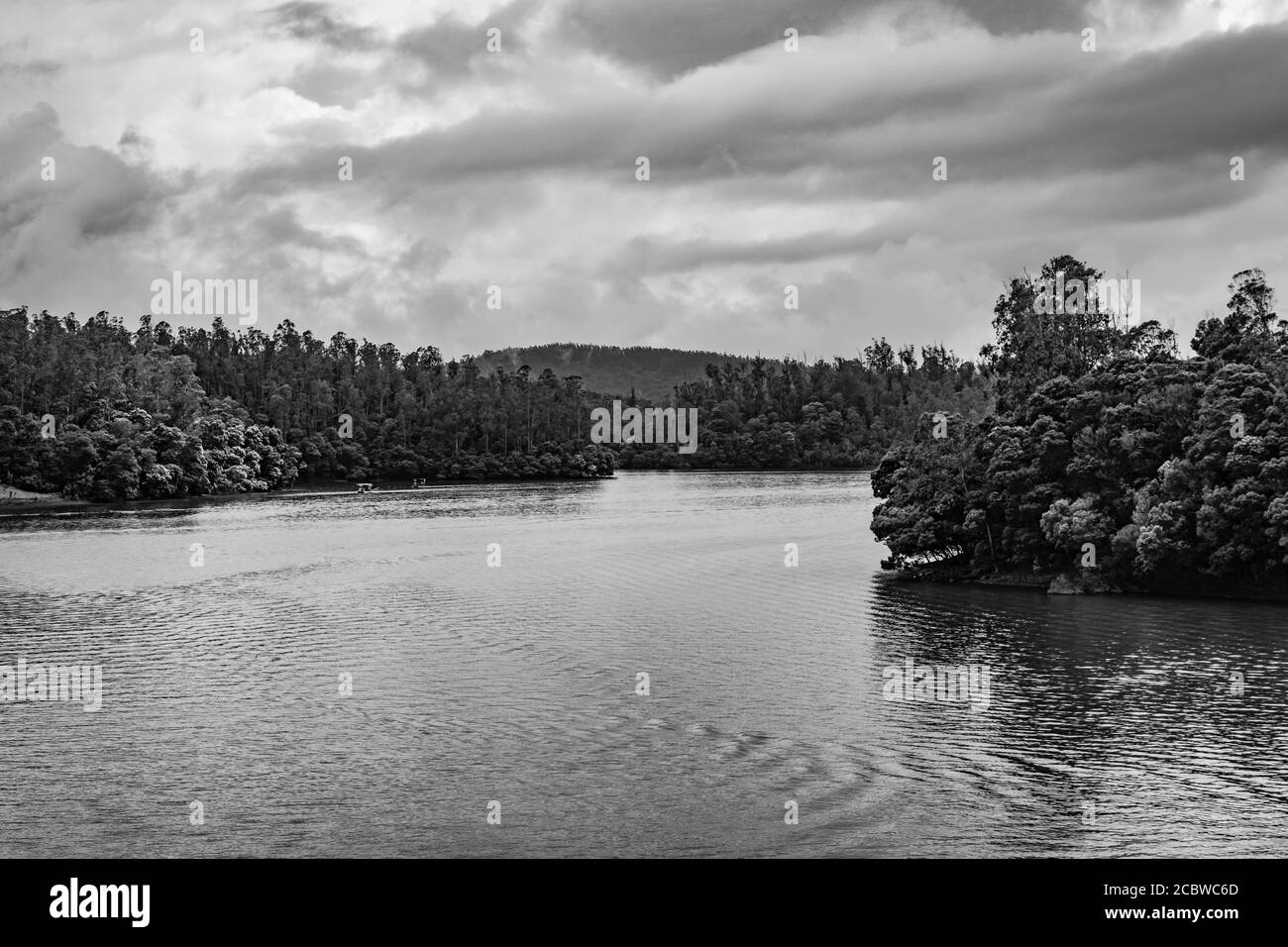 lake pristine with forest water reflection at morning in black and white image is taken at south india. it is showing the beautiful landscape of south Stock Photo