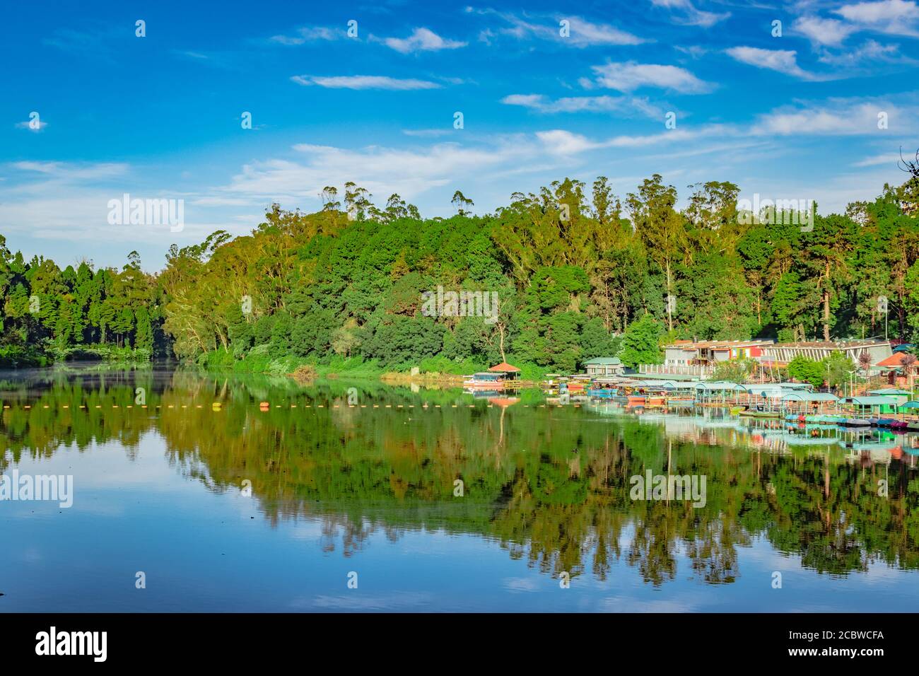 lake pristine with green forest water reflection and bright blue sky at morning image is taken at ooty lake tamilnadu south india. it is showing the b Stock Photo