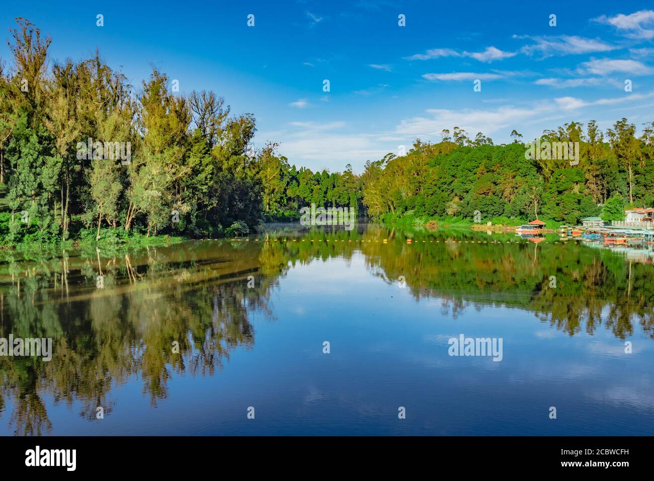 lake pristine with green forest water reflection and bright blue sky at ...