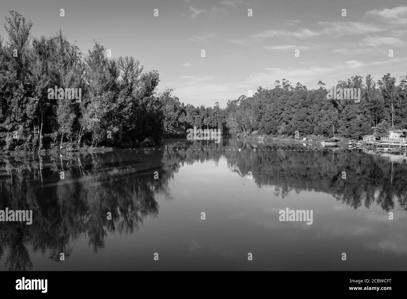 lake pristine with green forest water reflection and bright blue sky at morning in black and white image is taken at ooty lake tamilnadu india. it is Stock Photo