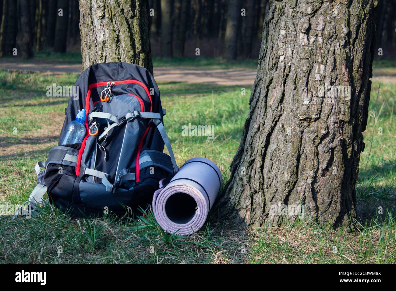 Trekking heavy backpack in forest with green jars of water Stock Photo Alamy