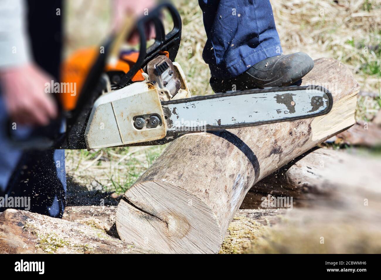 Chainsaw man wood hi-res stock photography and images - Alamy