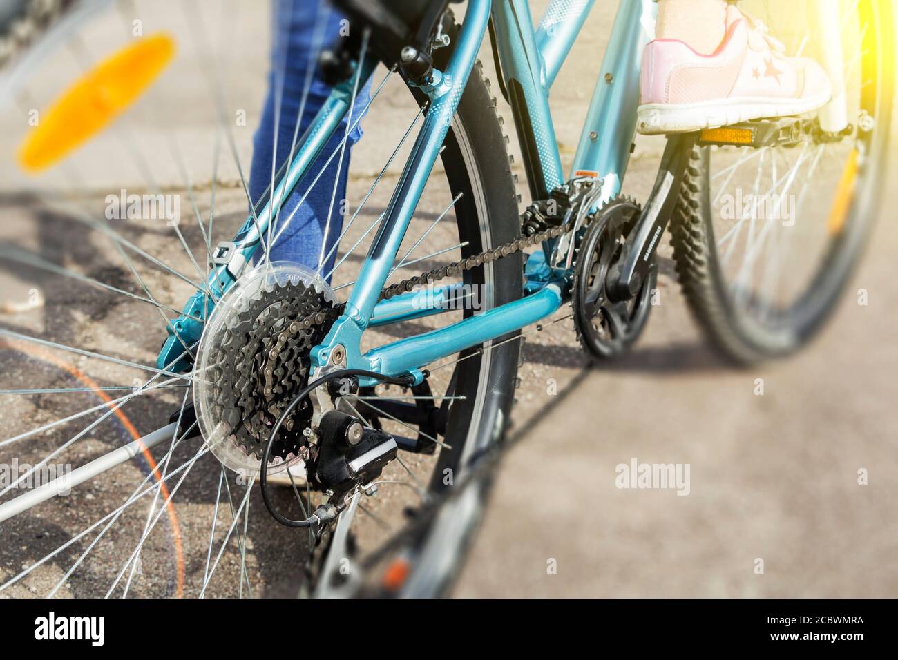 bike chain mechanism