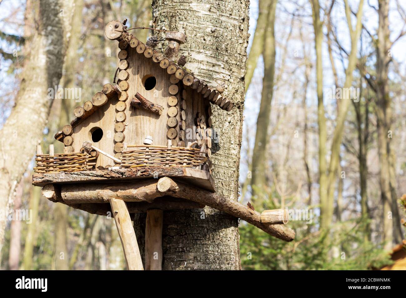 Birdhouse on a tree in the spring. Tree branch with a bird house Stock