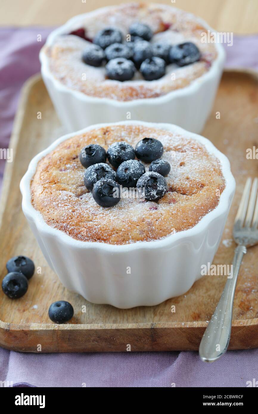 Homemade blueberry muffin in a baking dish topped by powdered sugar Stock Photo