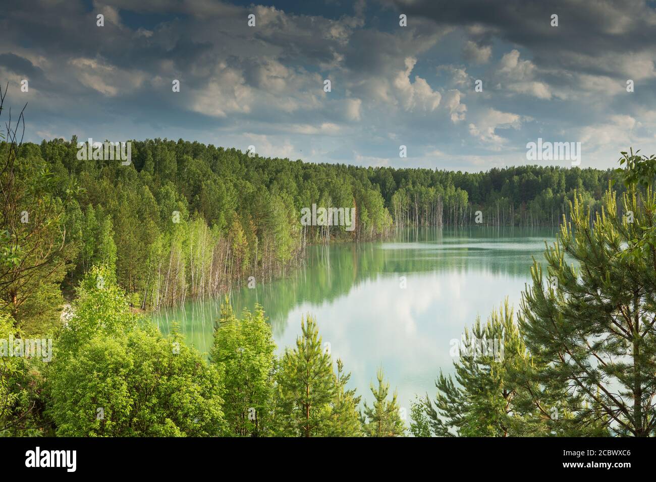 forest lake landscape. View of the blue lake forest Stock Photo