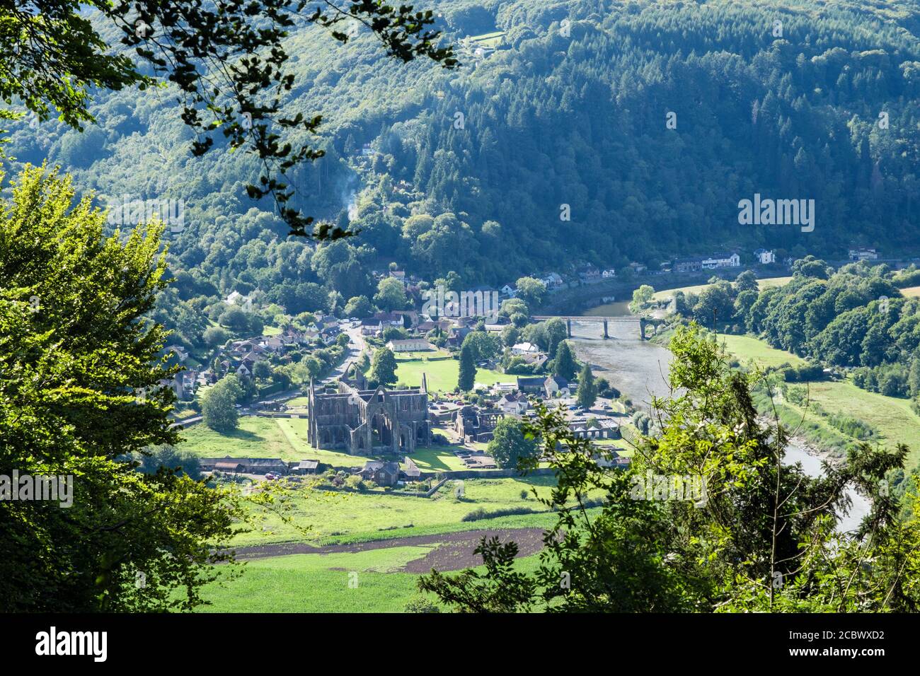 View down to Tintern Abbey in wooded Wye Valley from Devil's Pulpit on Offa's Dyke path. Chepstow, Monmouthshire, Wales, UK, Britain Stock Photo