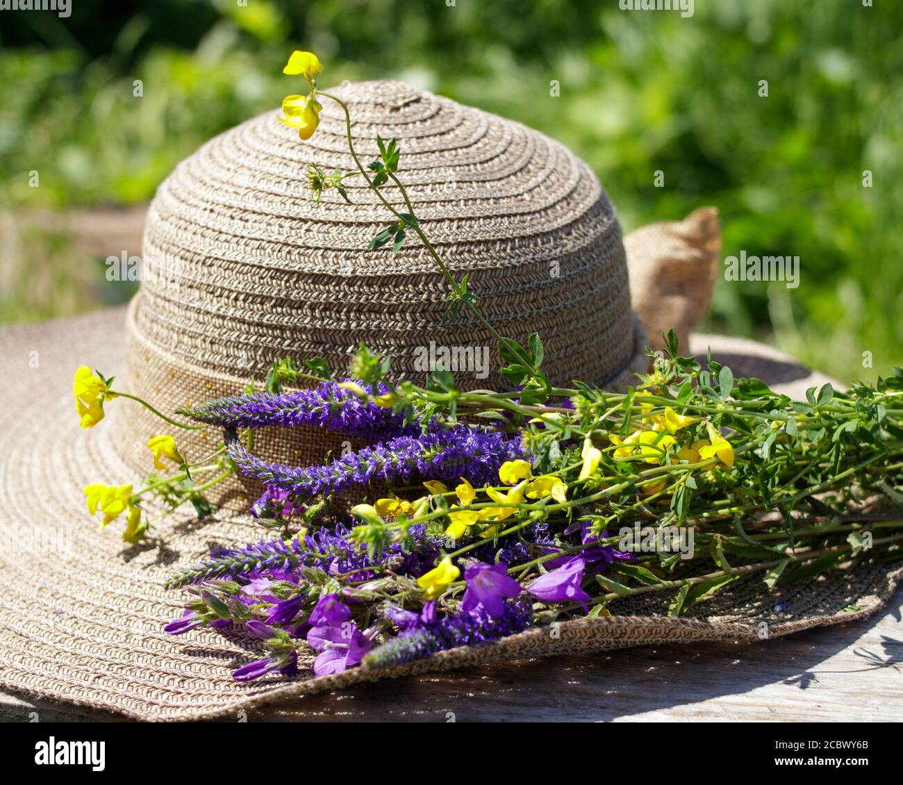 Yellow sunhat flowers hi-res stock photography and images - Alamy