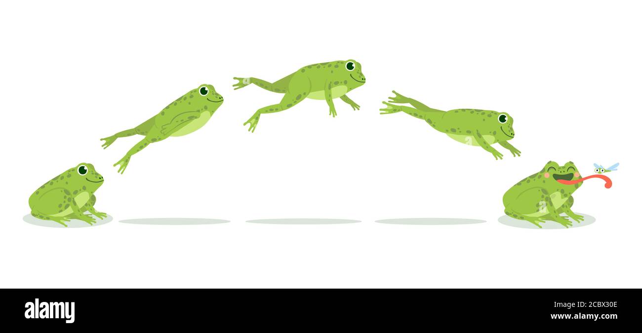 Frog jump. Various frog jumping animation sequence, jump green toad  keyframes, funny water animals hunting insects, cartoon vector set Stock  Vector Image & Art - Alamy