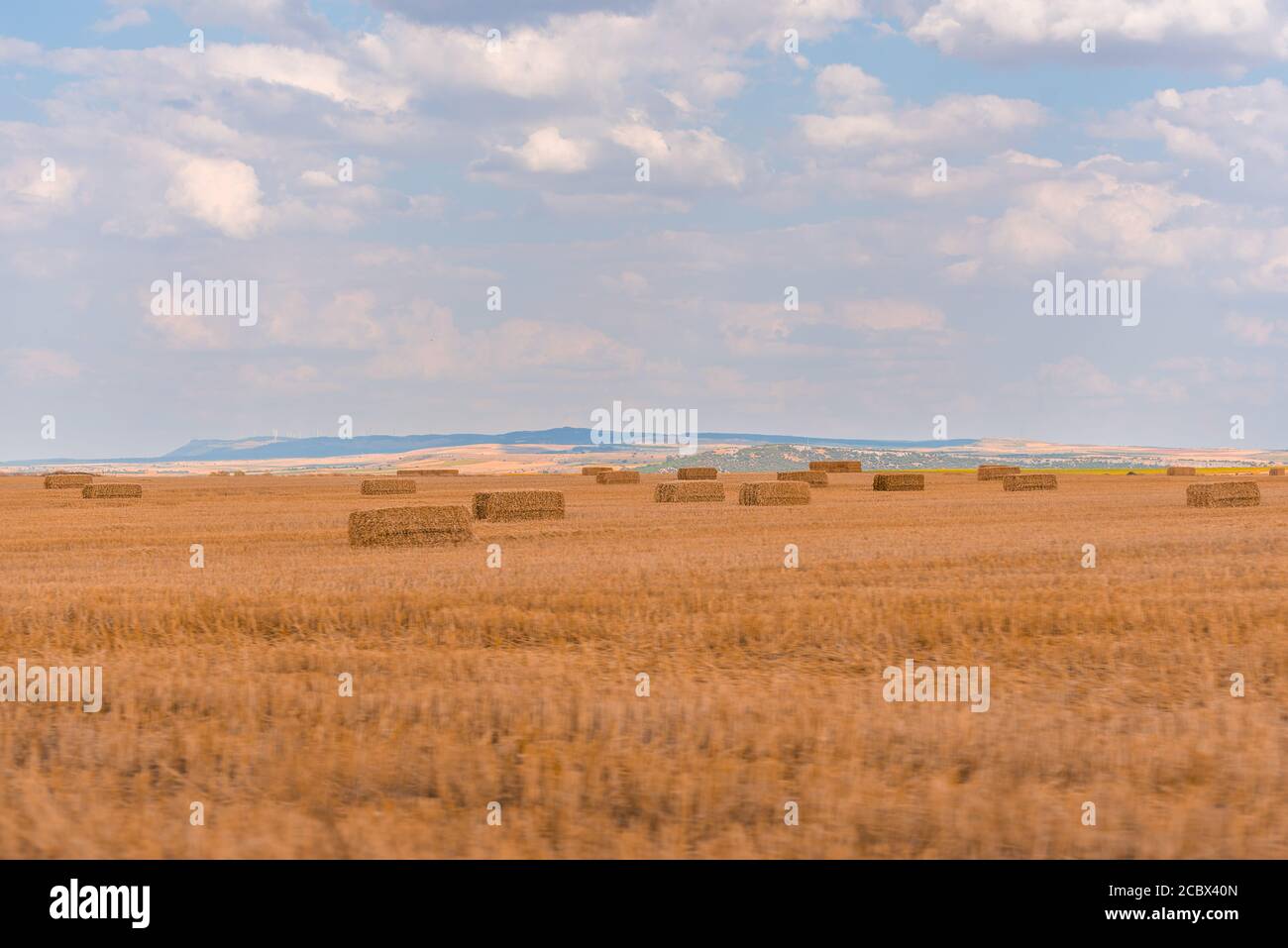 spanish agriculture fields in summer Stock Photo Alamy