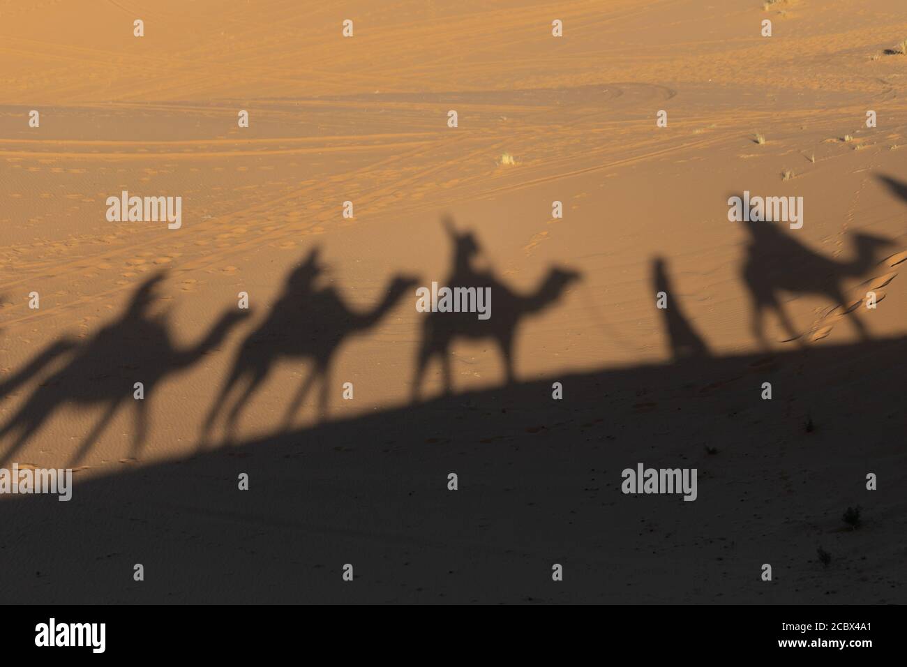 Shadows of camel riders in the late afternoon in the Saharan desert in Morocco Stock Photo